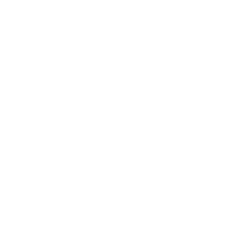 cycle icon